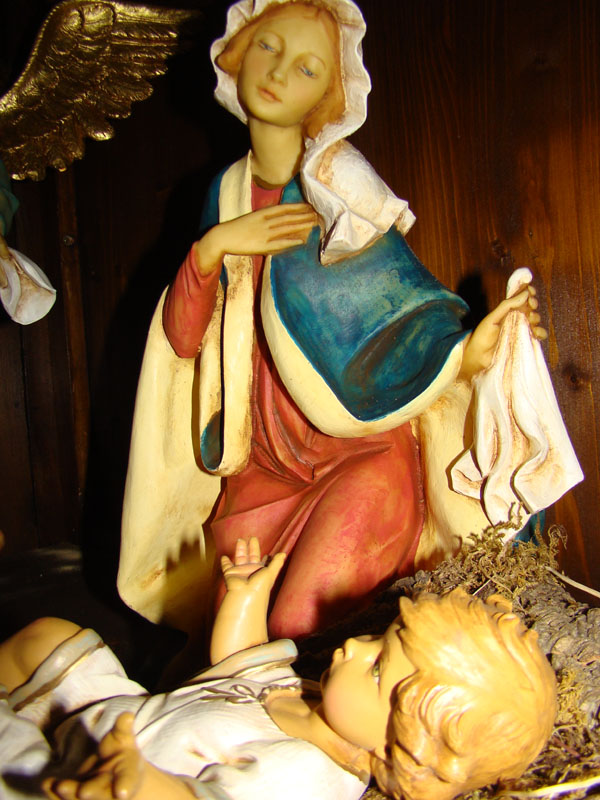 DSC02229
