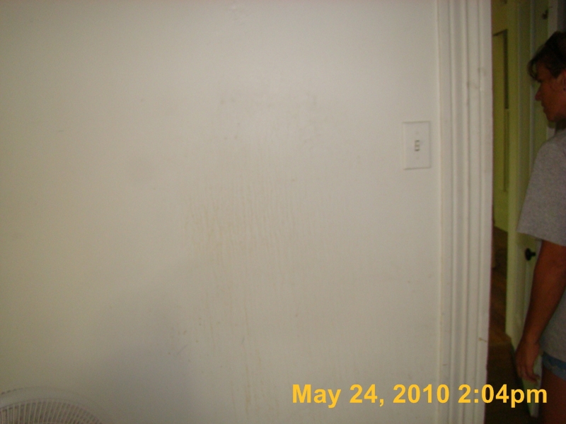 DSC03344