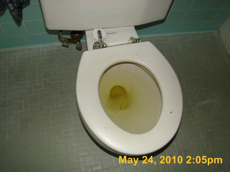 DSC03351