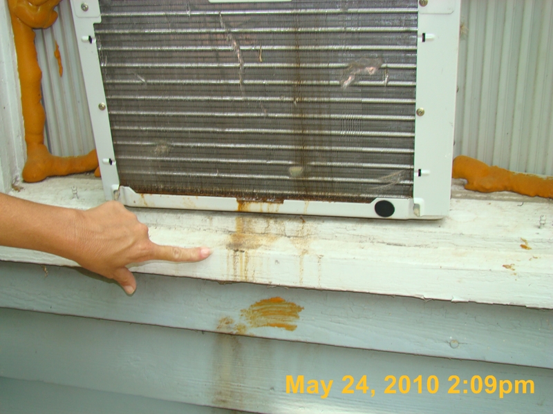 DSC03365