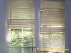 DSC03343