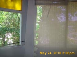 DSC03355