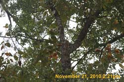 IMG_2380