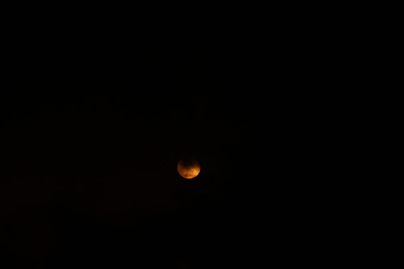 IMG_1839