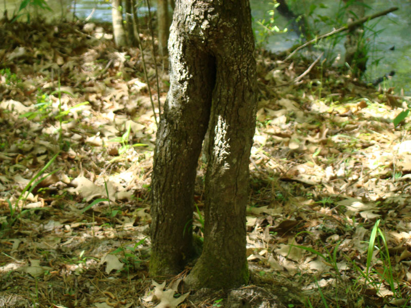 DSC03001