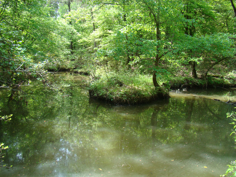 DSC03008
