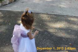 IMG_4499