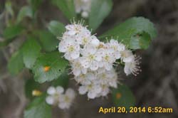 IMG_8986