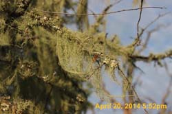 IMG_9083