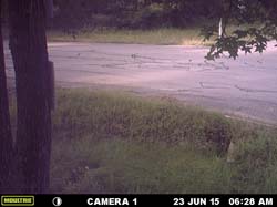 MFDC0053