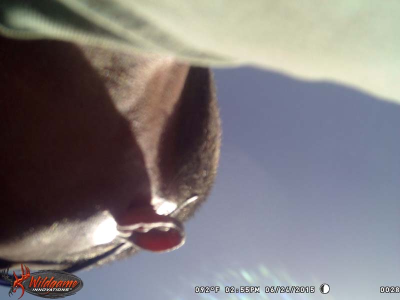 WGI_0028