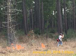 IMG_1758