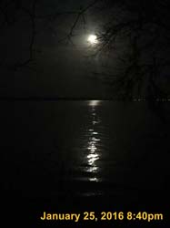 IMG_1841