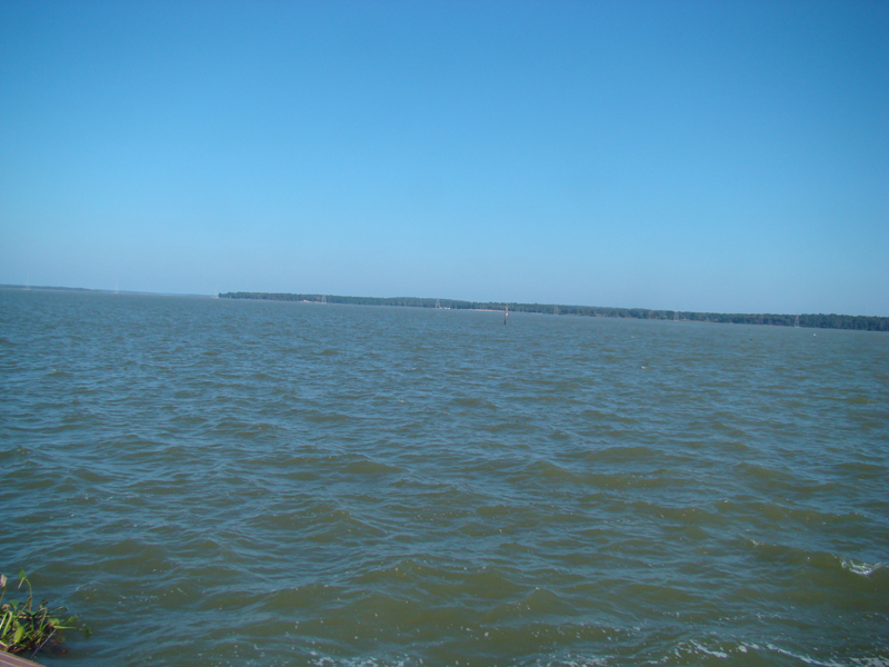 DSC00690