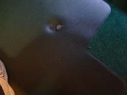 DSC00654