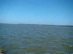 DSC00690
