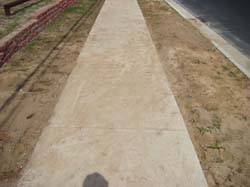 DSC01650